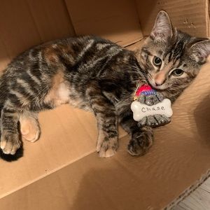 Meet your Posher, Haley